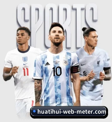 五大服务分区,信息按项目分类