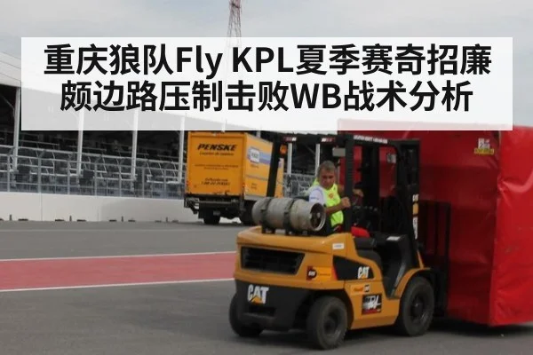 重庆狼队Fly KPL夏季赛奇招廉颇边路压制击败WB战术分析
